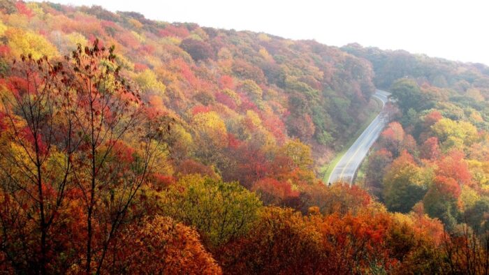 autumn in north carolina - gold rush